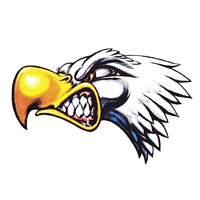 Vélo Original Autocollant AIGLE ATTACK Pour Décorer Le Vélo 3 Vélo Original Autocollant AIGLE ATTACK Pour Décorer Le Vélo